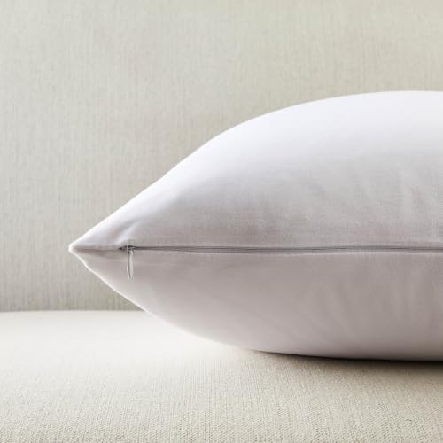 22x22 Decorative Velvet Throw Pillow Covers Set of 2 (White / 22" x 22" (Pack of 2))