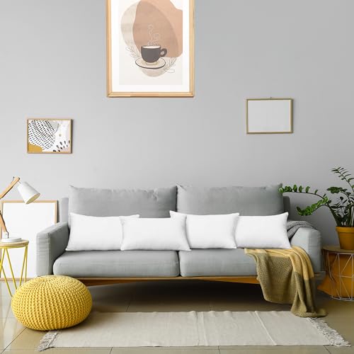Throw Pillows (12x20 Inch)