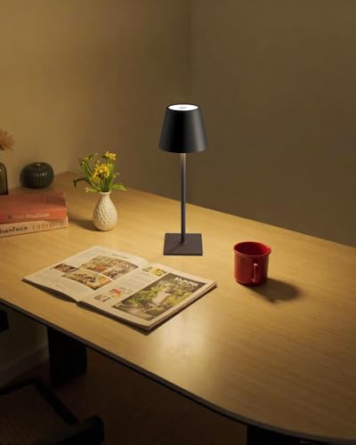 2 Pack Cordless Black Table Lamps (Black-2)