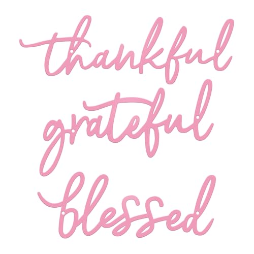 3 Pieces Thankful Grateful Blessed Letter Sign Metal Wall Decor (Pink)