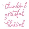 3 Pieces Thankful Grateful Blessed Letter Sign Metal Wall Decor (Pink)