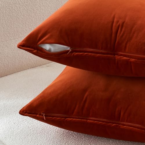 Fall Decorative Burnt Orange Velvet Throw Pillow Covers 16x16 Inch (16" x 16" (Pack of 2) / Burnt Orange)