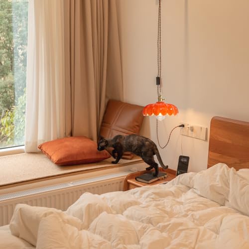 Plug in Pendant Light (Orange Plug)