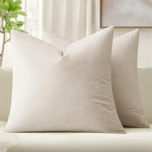 24x24 Inch Pack of 2 Euro Velvet Throw Pillow Covers Cream White (24" x 24" (Pack of 2) / Cream White)