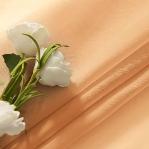 Beige Sheer Curtains 4 Panels Rod Pocket Semi (Beige / 52"W x 54"L (Pack of 4))