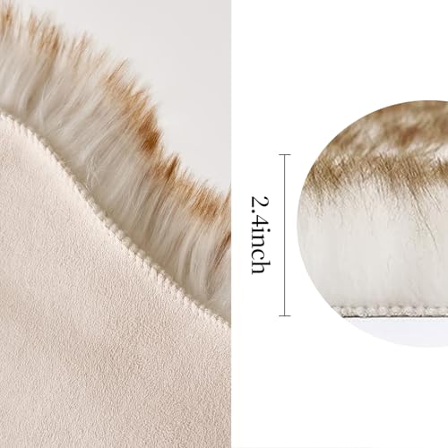 Fluffy Area Rug 3'x5' Large Faux Fur Sheepskin Rug FrostedTips Brown (3' x 5' (Sheepskin) / Frosted Tips Brown)