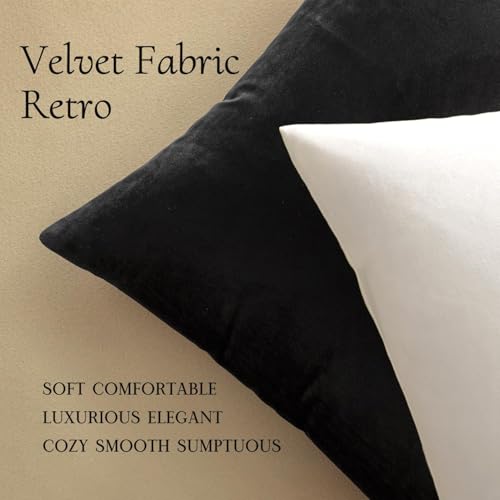 28x28 Inch Pack of 2 Euro Velvet Throw Pillow Covers Black (28" x 28" (Pack of 2) / Black)