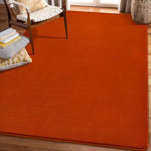 Modern Area Rug for Bedroom Living Room (4' x 6' (Rectangular) / Orange)