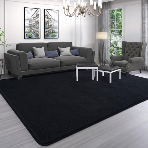 6x9 Area Rugs for Living Room Non Slip Dorm Bedroom Rug (6' x 9' (Rectangular) / Black)