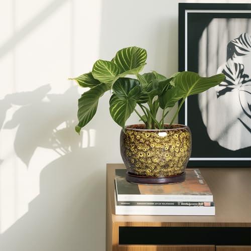 6 Inch Plant Pot (6 Inch / Leopard Yellow)