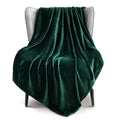 Soft Fleece Throw Blanket for Couch (Forest Green / Throw (50" x 60"))