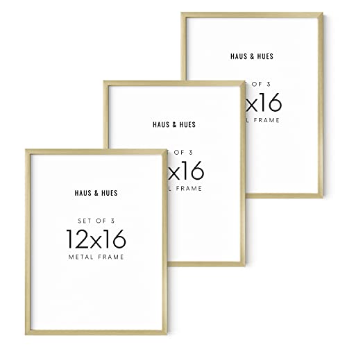 12x16 Gold Picture Frames (Set of 03 / Gold Metal / 12x16 in)