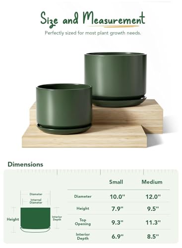 10 + 12 Inch Ceramic Plant Pots (Forest Green / 10"+12")