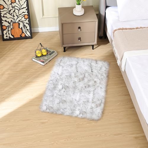 White and Grey Faux Fuzzy Fur Sheepskin Washable Area Rugs for Living Room 2x3 Boho Shag Nursery Rug Cute Home Décor (2' x 3' (Rectangular) / White With Grey Tips)