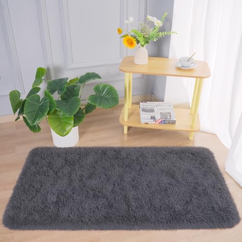 Soft Runner Rugs for Bedroom Living Room Plush Fluffy Rug 2x4 (Coal Grey / 2' x 4' (Runner))