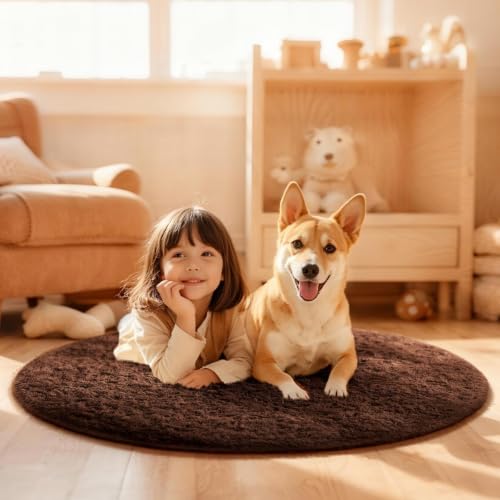 Round Rug 4Ft Brown Circle Area Rug (Brown / 4' (Round))
