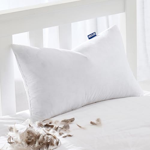 12x20 Pillow Insert (12x20 Inch)