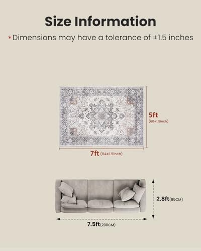 Amada 5x7 Washable Area Rug for Living Room (5' x 7' (Rectangular) / Taupe)