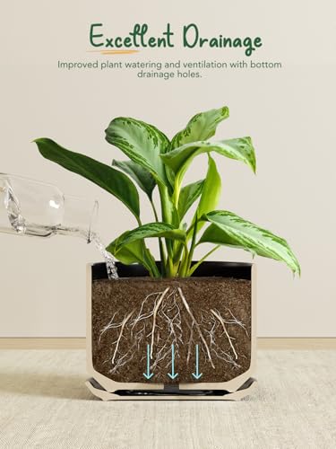 10 + 12 Inch Ceramic Plant Pots (Black / 10"+12")