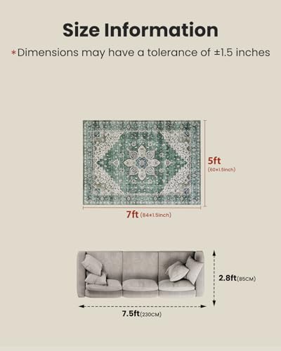 Amada 5x7 Washable Area Rug for Living Room (5' x 7' (Rectangular) / Dark/Green)
