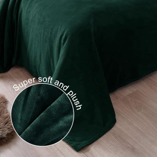 Soft Fleece Blanket Twin Size for Bed (Forest Green / Twin (60" x 80"))