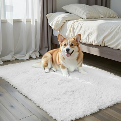 Small Shag Area Rug for Bedroom (White / 2' x 3' (Rectangular))