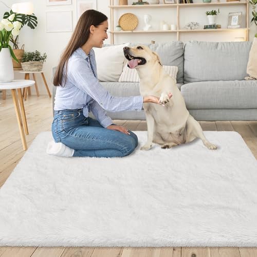 Small Area Rug for Bedroom 3x5ft Mini White Fluffy Rug Mat Bedside Throw Rug for Kids Room Boys Teens Nursery Baby Dorm Living Room Home Decor Aesthetic Carpets (White / 3' x 5' (Rectangular))