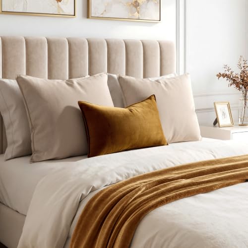 Decorative Golden Brown Velvet Lumbar Throw Pillow Covers 12x20 Inch (20" x 12" (Pack of 2) / Golden Brown)
