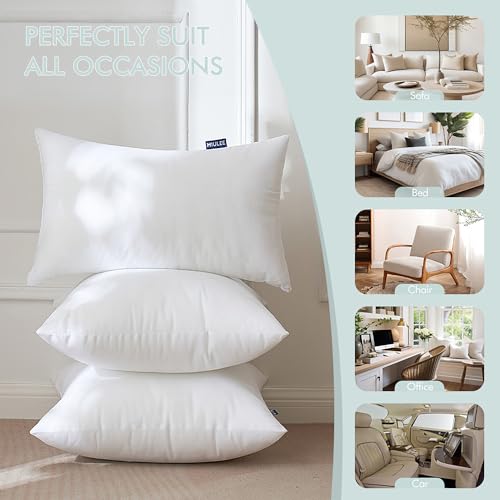 Pillow Insert 12x20 Inch Set of 2 Decorative Throw Pillow Inserts (12x20 Inch)