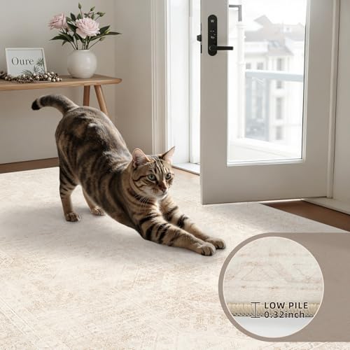 6x9 Area Rugs Living Room (Beige / 6' x 9' (Rectangular))