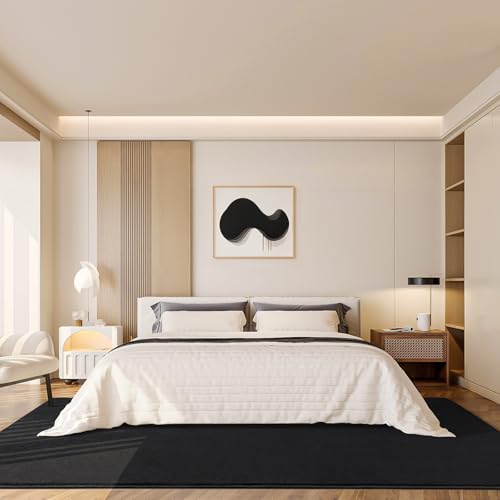 Modern Area Rugs for Bedroom Living Room (4' x 6' (Rectangular) / Black)