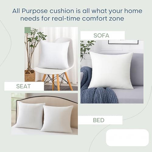 Throw Pillow Inserts 18x18 2 (18x18 / 01: White)