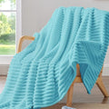 Ribbed Fleece Throw Blanket for Couch (Sky Blue / Throw(50"x60"))