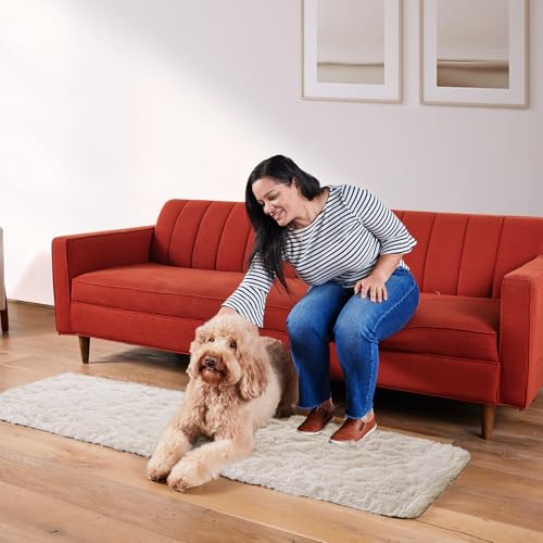 Runner Rug for Hallway (2- Ivory / 2' x 6' (Rectangular))