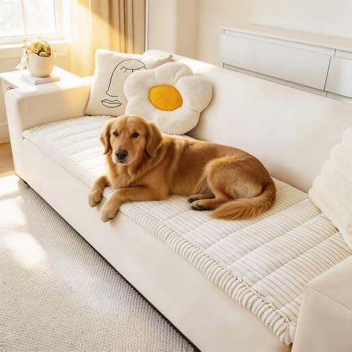 Couch Covers for Dogs Washable (White / 23.6" X 47")