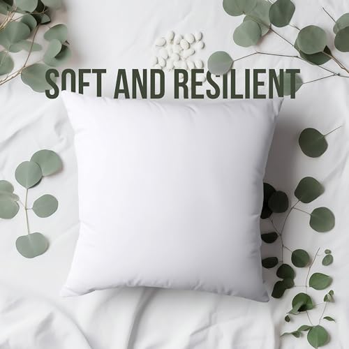 Throw Pillows (20x20 Inch)