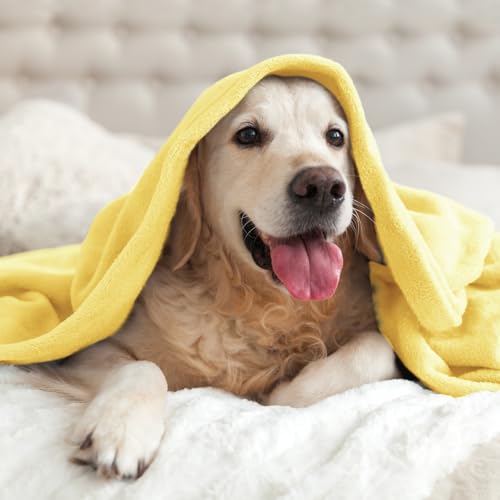 Fleece Blanket Soft Plush Throw for Couch Light Yellow 50"x60" (Light Yellow / Throw(50"x60"))