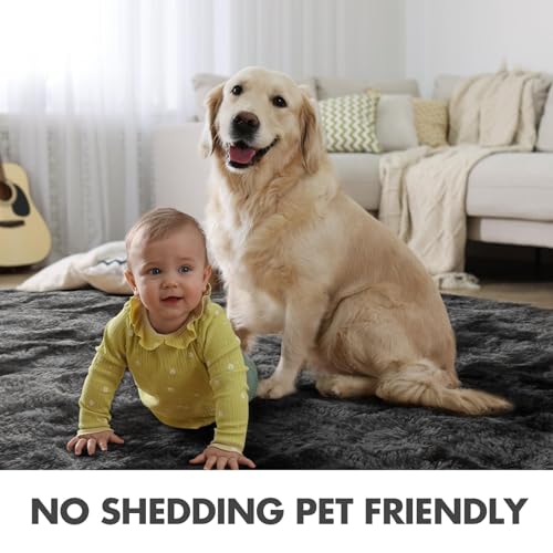 7x10 Ft Extra Large Shag Rugs for Living Room (Dark Grey / 7' X 10' (Rectangular))
