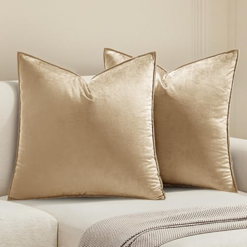 Decorative Beige Velvet Throw Pillow Covers for Couch 20x20 Inch (20" x 20" (Pack of 2) / Beige)