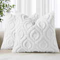 Faux Fur Plush Soft White Throw Pillow Covers 16x16 Set of 2 (16" x 16" (Pack of 2) / White)