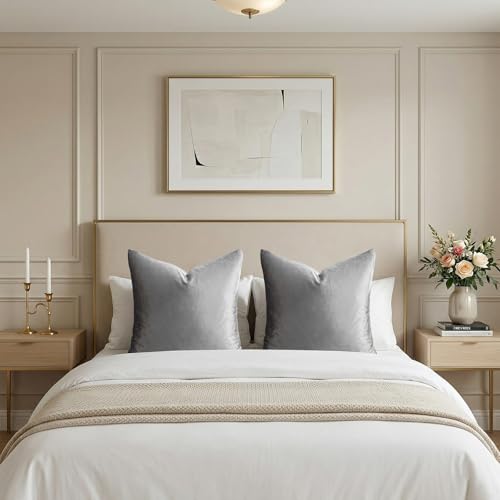 Dark Grey Velvet Throw Pillow Covers 24x24 Pack of 2 (Dark Grey / 24" x 24" (Pack of 2))