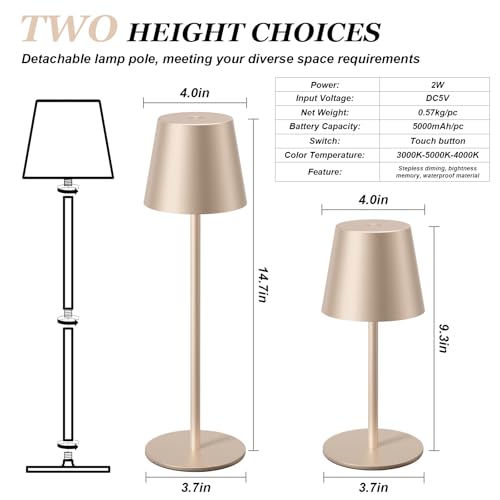 Champagne Gold Cordless Table Lamp Rechargeable (Champagne Gold)