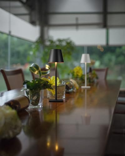 Cordless Black Table Lamp (Black-1)