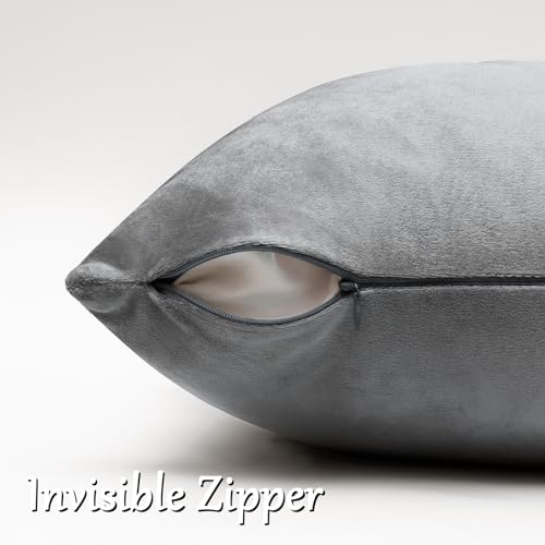 Dark Grey Velvet Throw Pillow Covers 16x16 Pack of 2 (Dark Grey / 16" x 16" (Pack of 2))