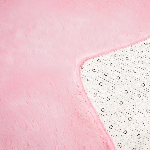 Shag Area Rugs for Bedroom Living Room