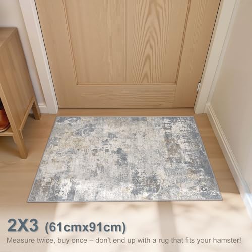 2x3 Entryway Area Rug (Blue Grey / 2' x 3' (Rectangular))