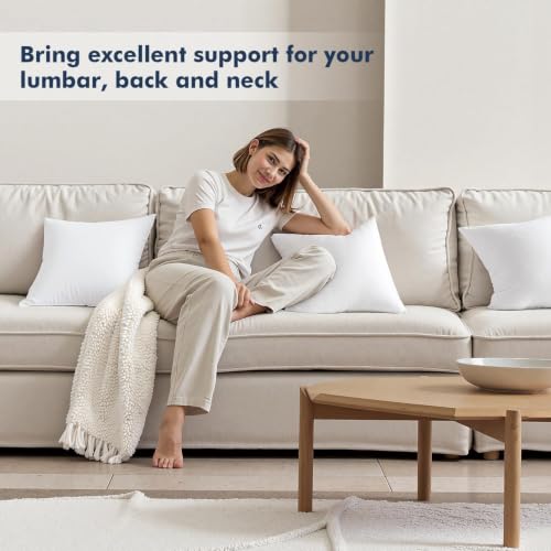 20x20 Throw Pillows Inserts 2 Pack (20x20 Inch)