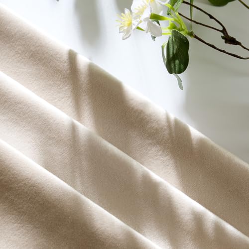 Velvet Pillow Covers 20x20 Decorative Pillows Pack of 2 Beige (Champagne / 20" x 20" (Pack of 2))