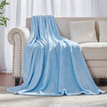 Light Blue Fleece Plush Throw Blanket 50"x60"for Couch Fuzzy Cozy Flannel (Light Blue / Throw(50"×60"))