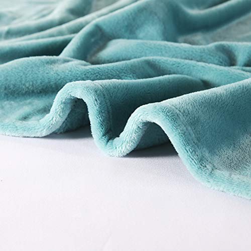 Large Flannel Fleece Throw Blanket (60"x80" / Bluishgreen)